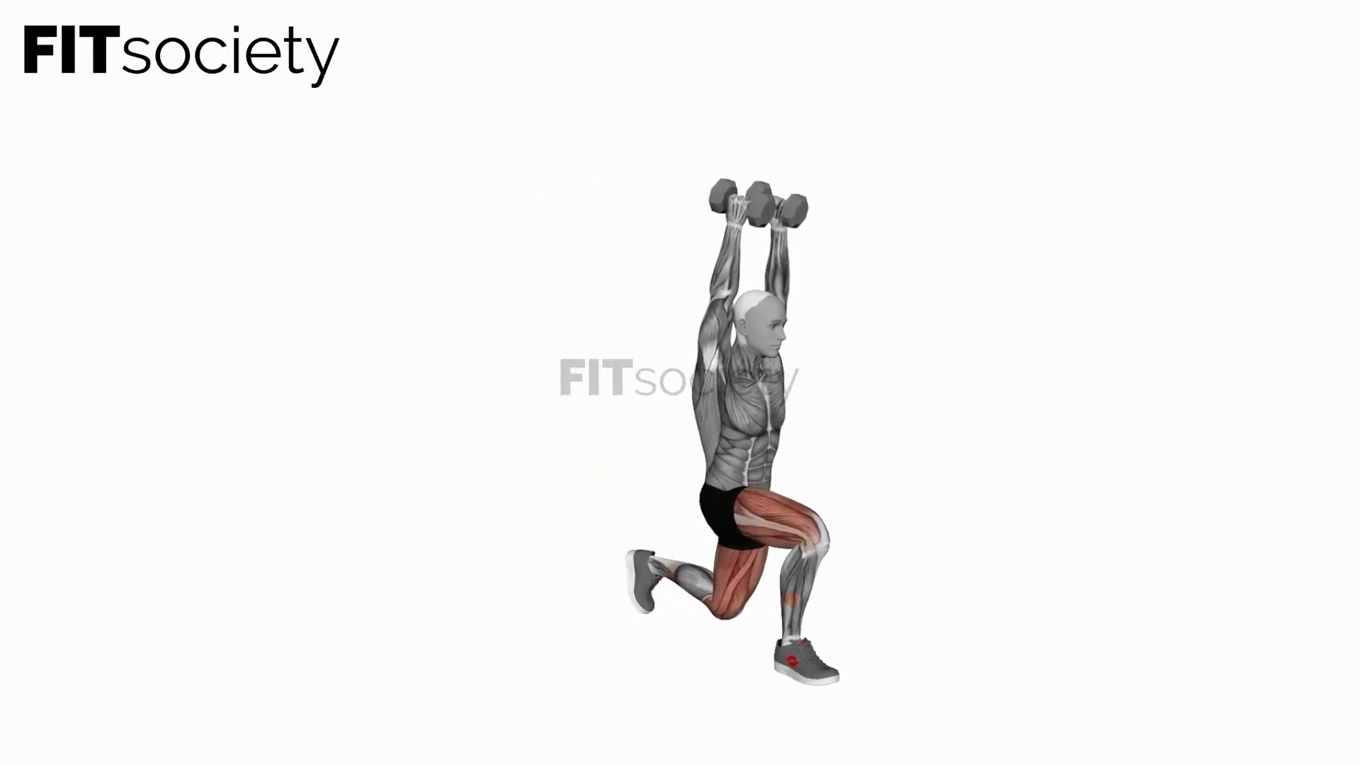 Dumbbell Overhead Lunge