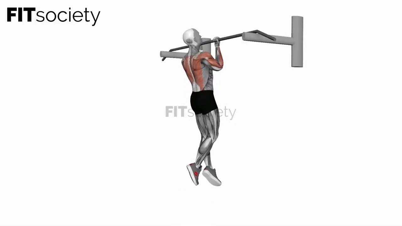 Chin-Up (Isometric and Negative)