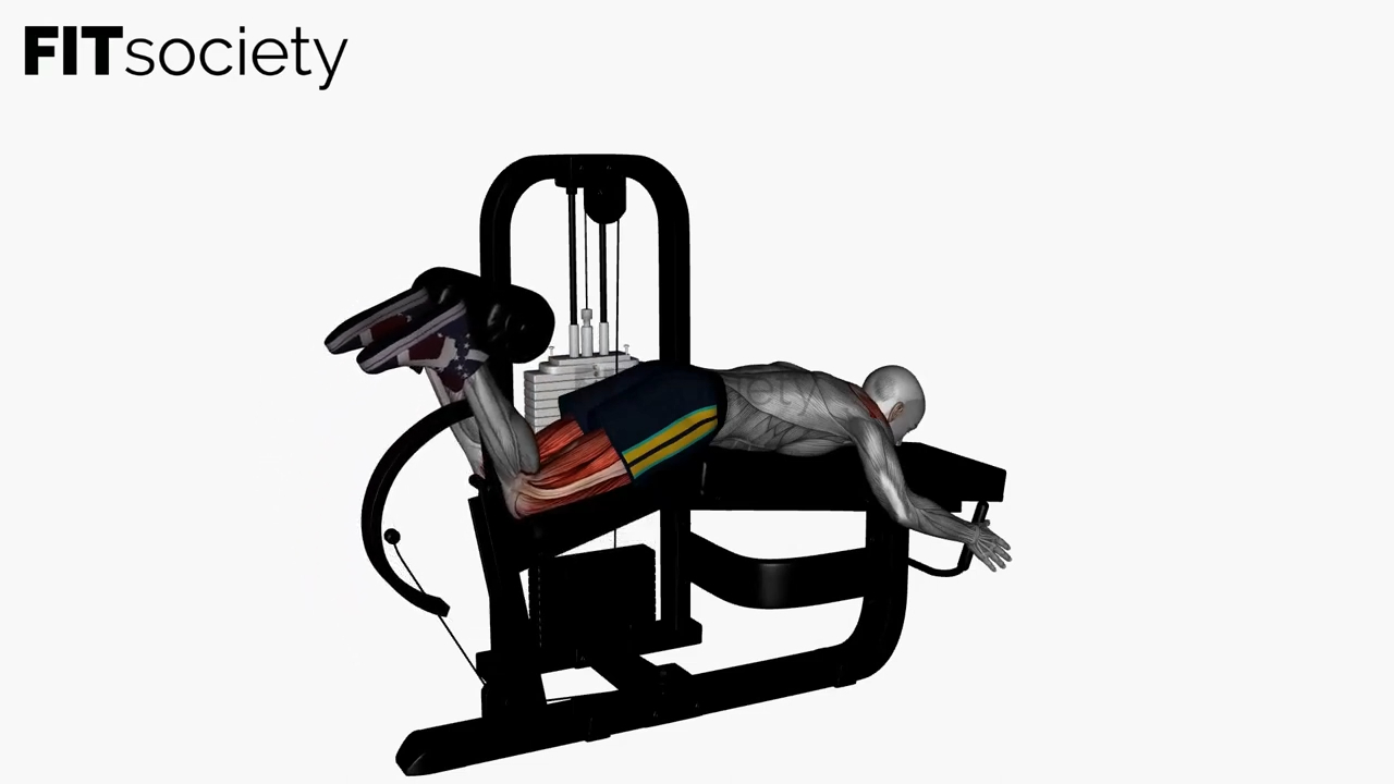 Lying Leg Curl Machine