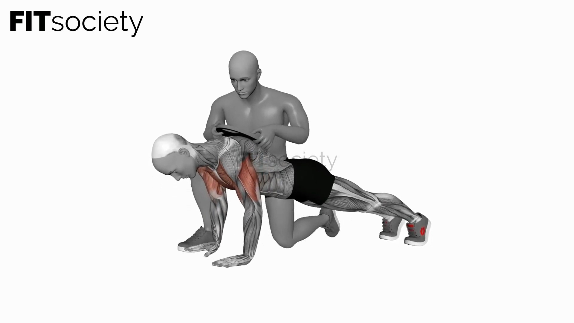 Assisted Weighted Push Up