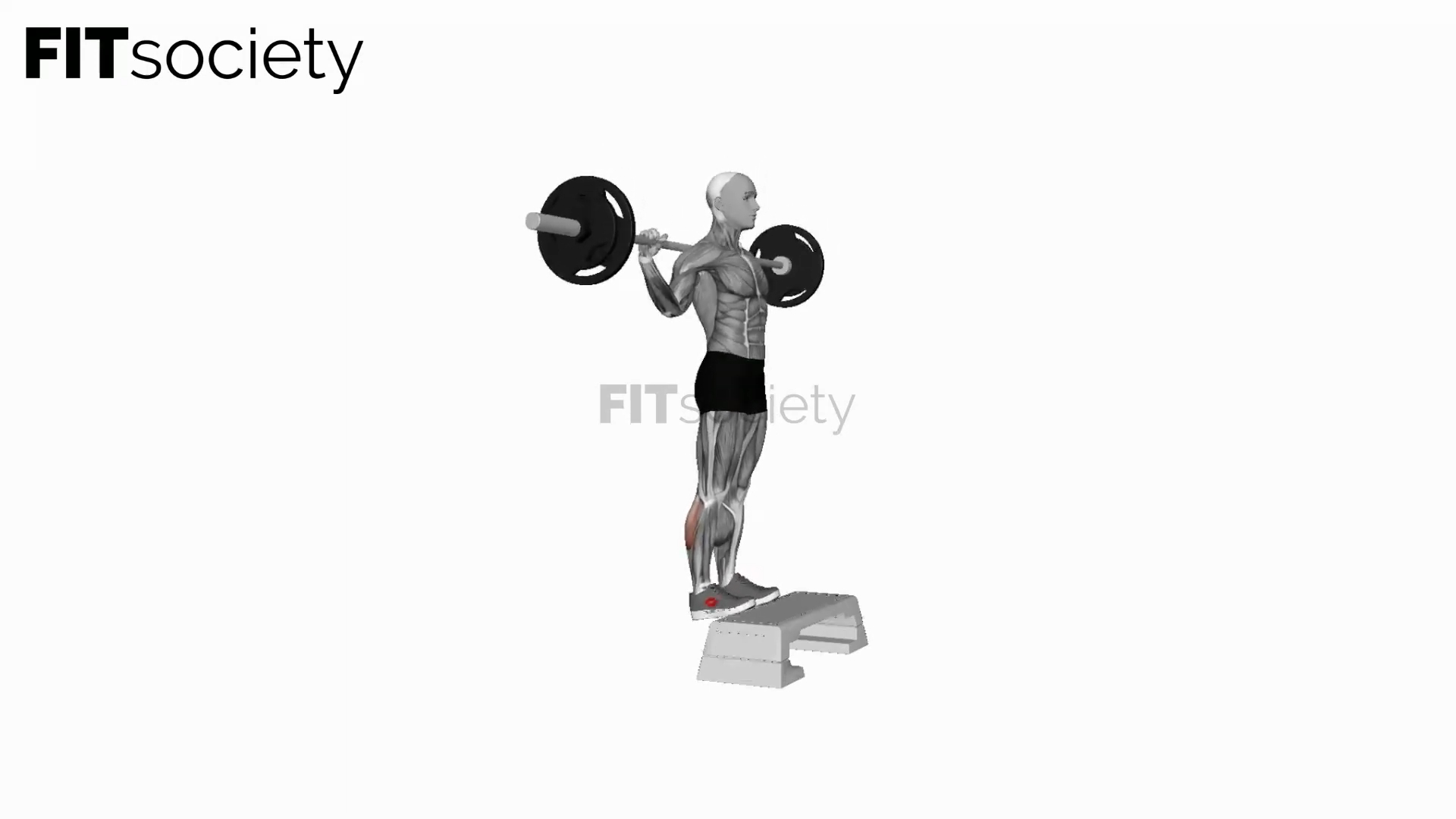 Barbell Standing Leg Calf Raises