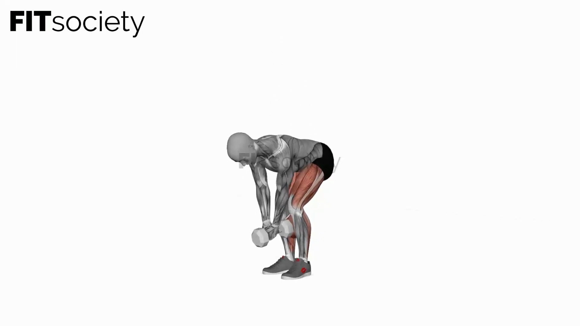 Dumbbell Straight Legs Deadlift