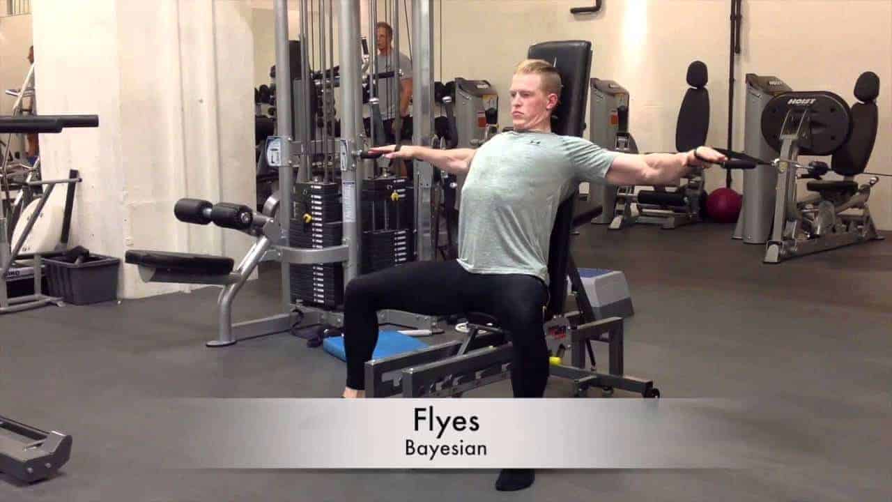 Bayesian Fly