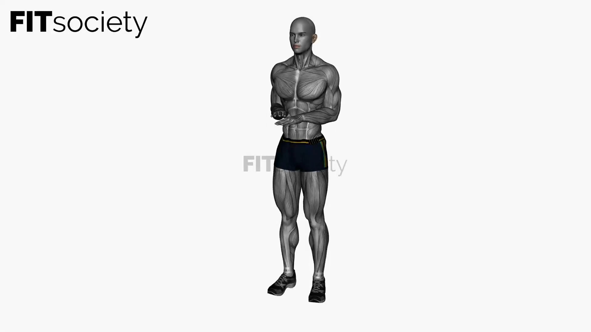Arm Pulses Cross