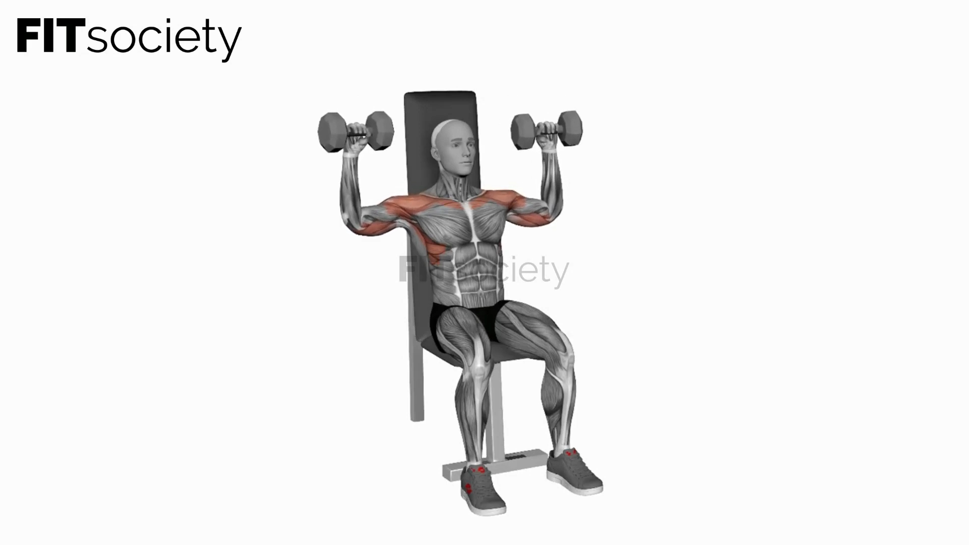 Dumbbell Seated Shoulder Pres