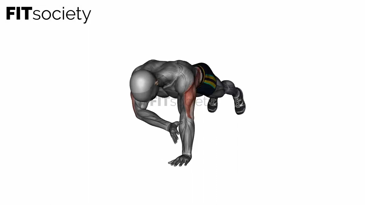 Plank Shoulder Taps