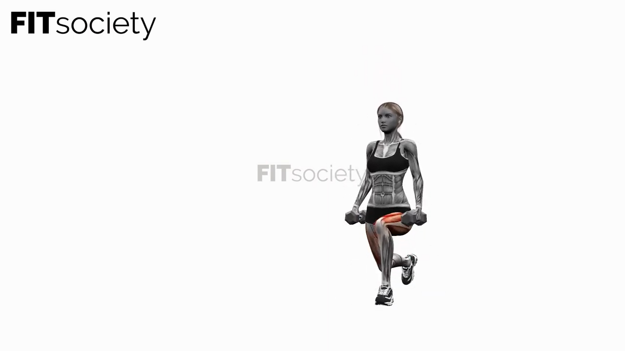 Dumbbell Reverse Lunges Pulses