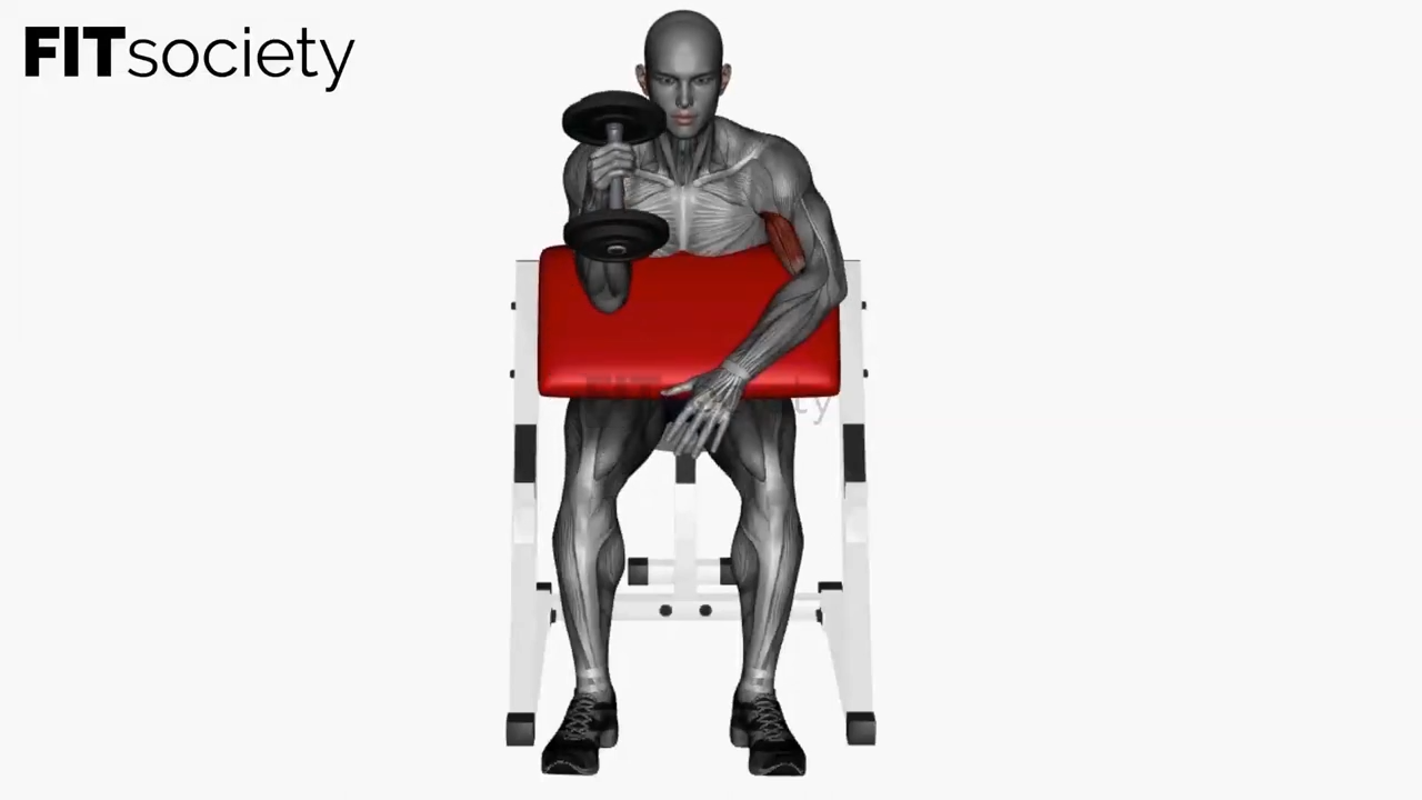 Single Arm Preacher Hammer Curl