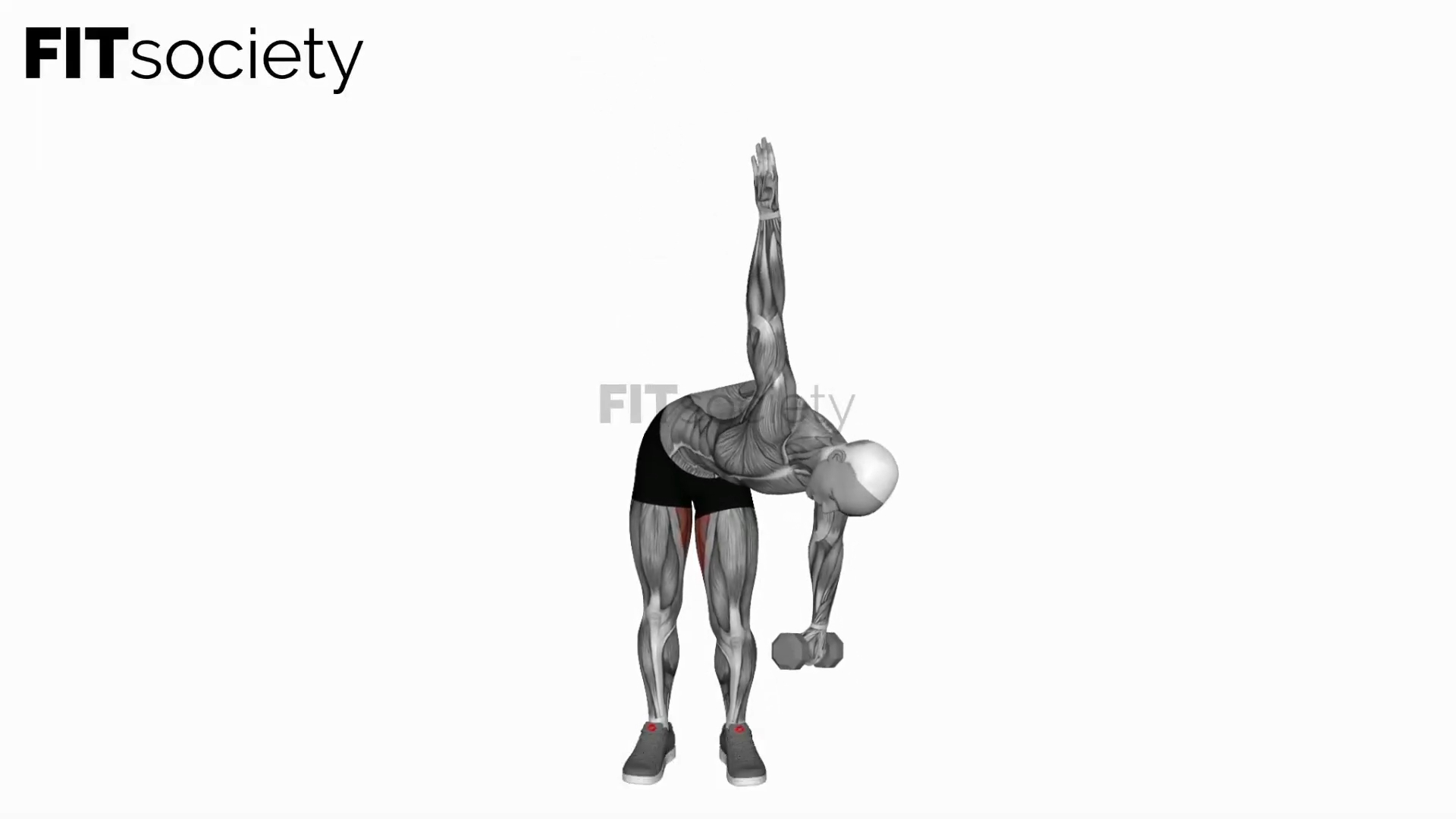 Dumbbell Low Windmill