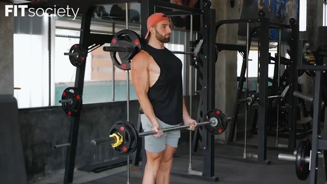 Barbell Curls
