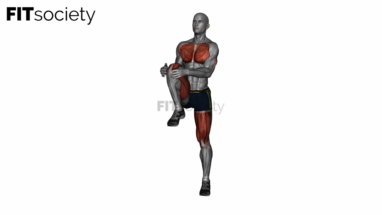 Standing Knee To Chest Stretch