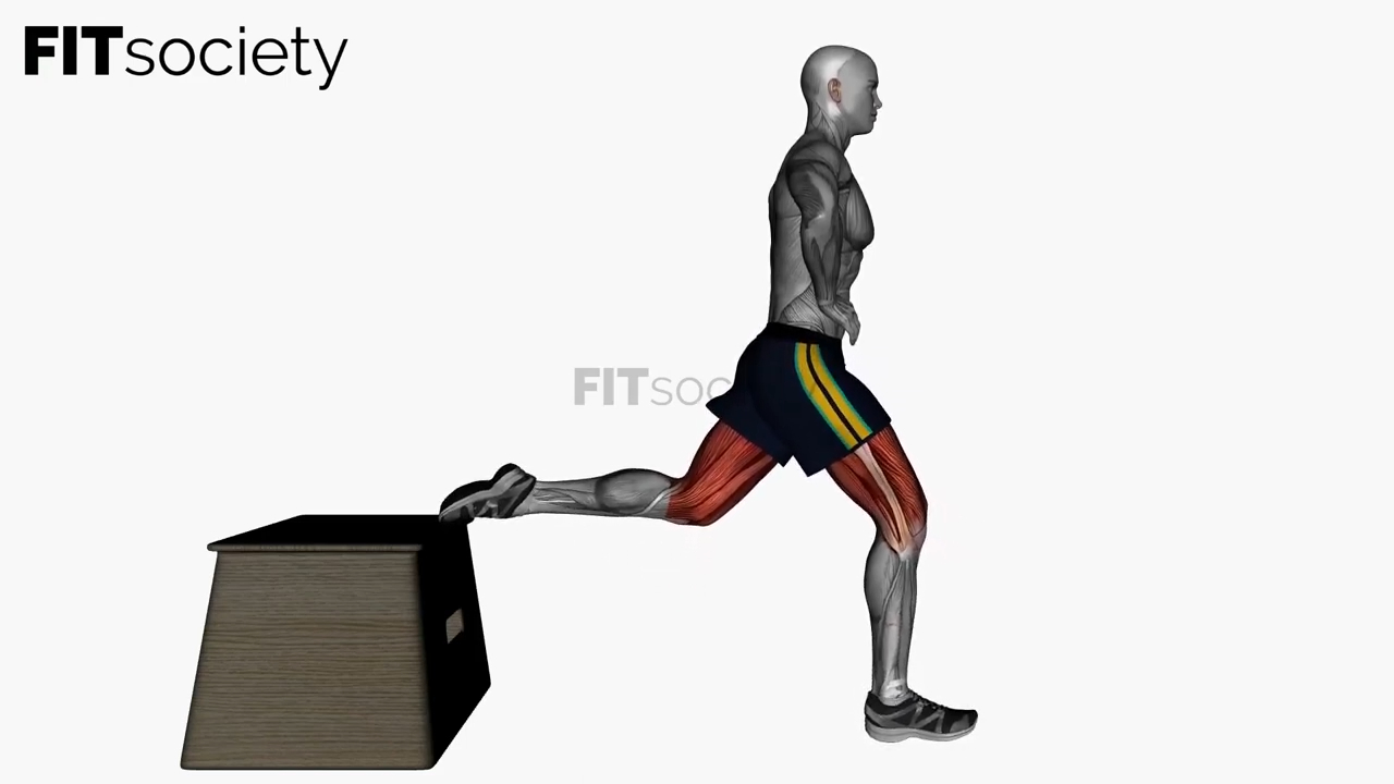 Bulgarian Split Squat Right Bodyweight Side View