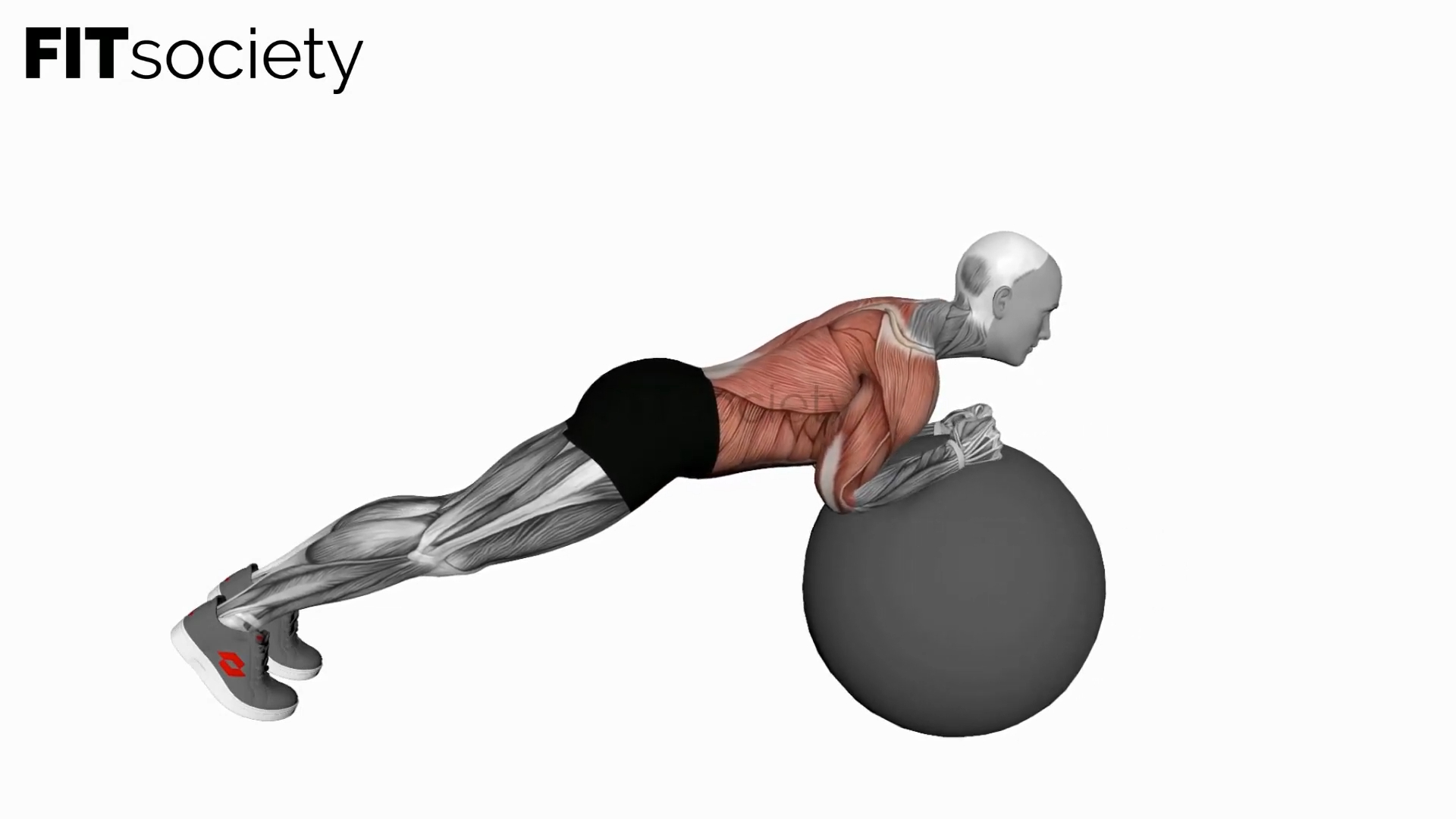 Exercise Ball Body Saw