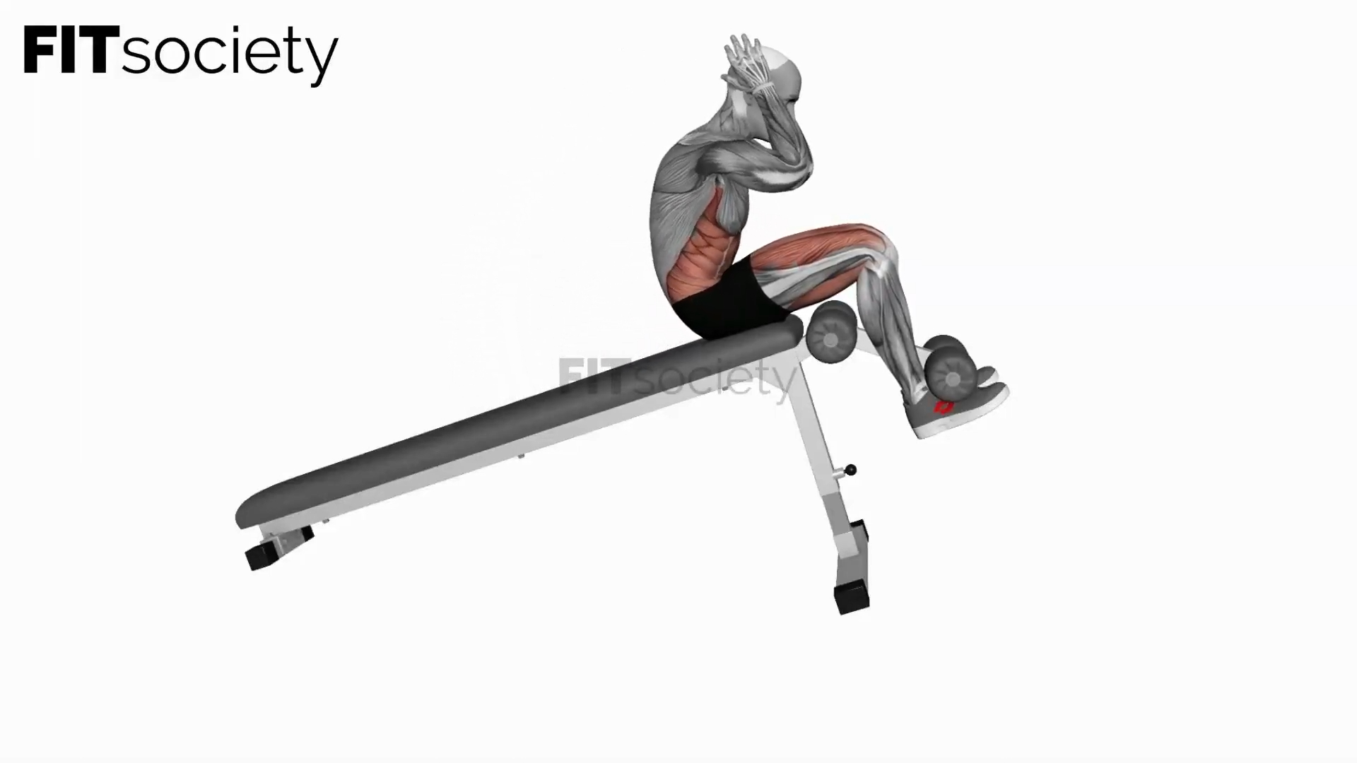Decline Bench Sit-Up