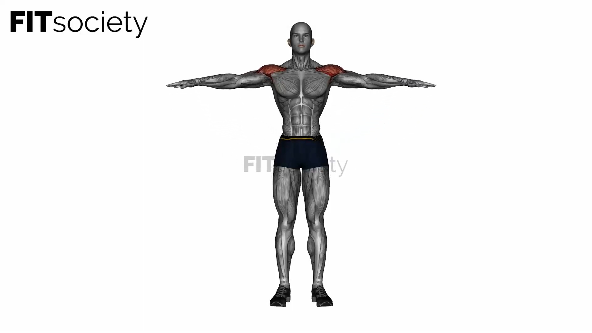 Shoulder Abduction