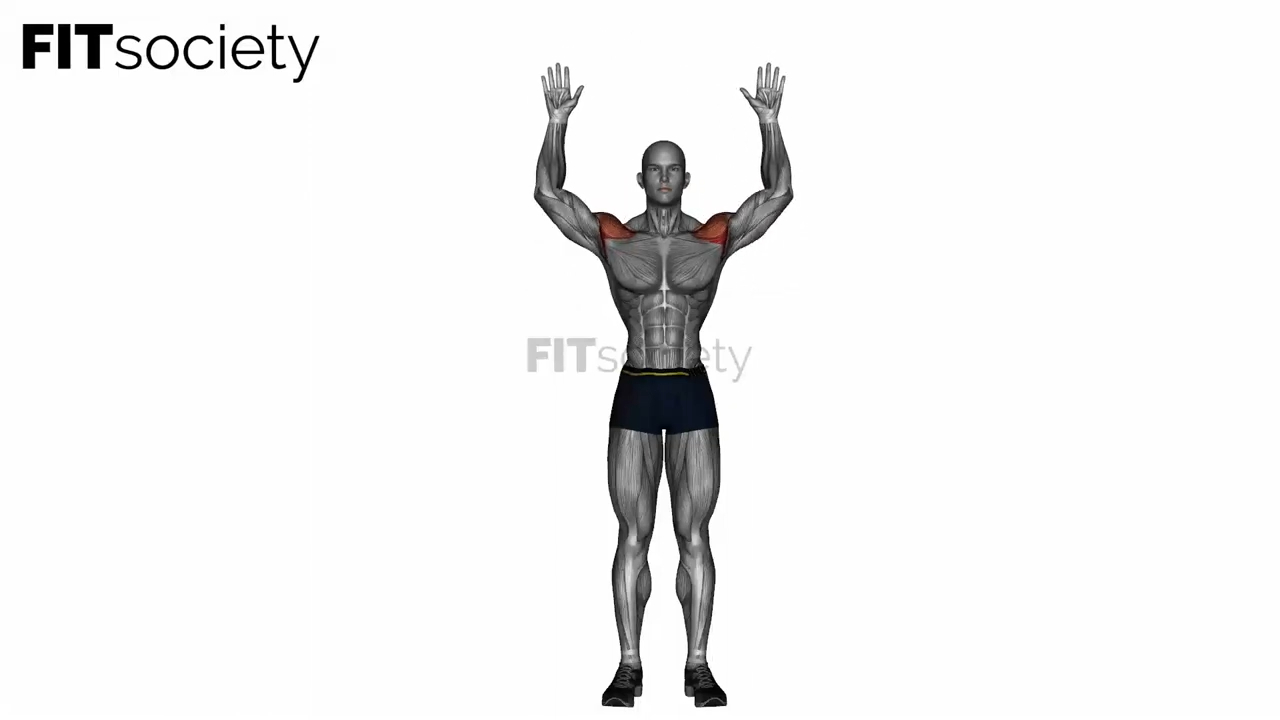 Military Press Bodyweight