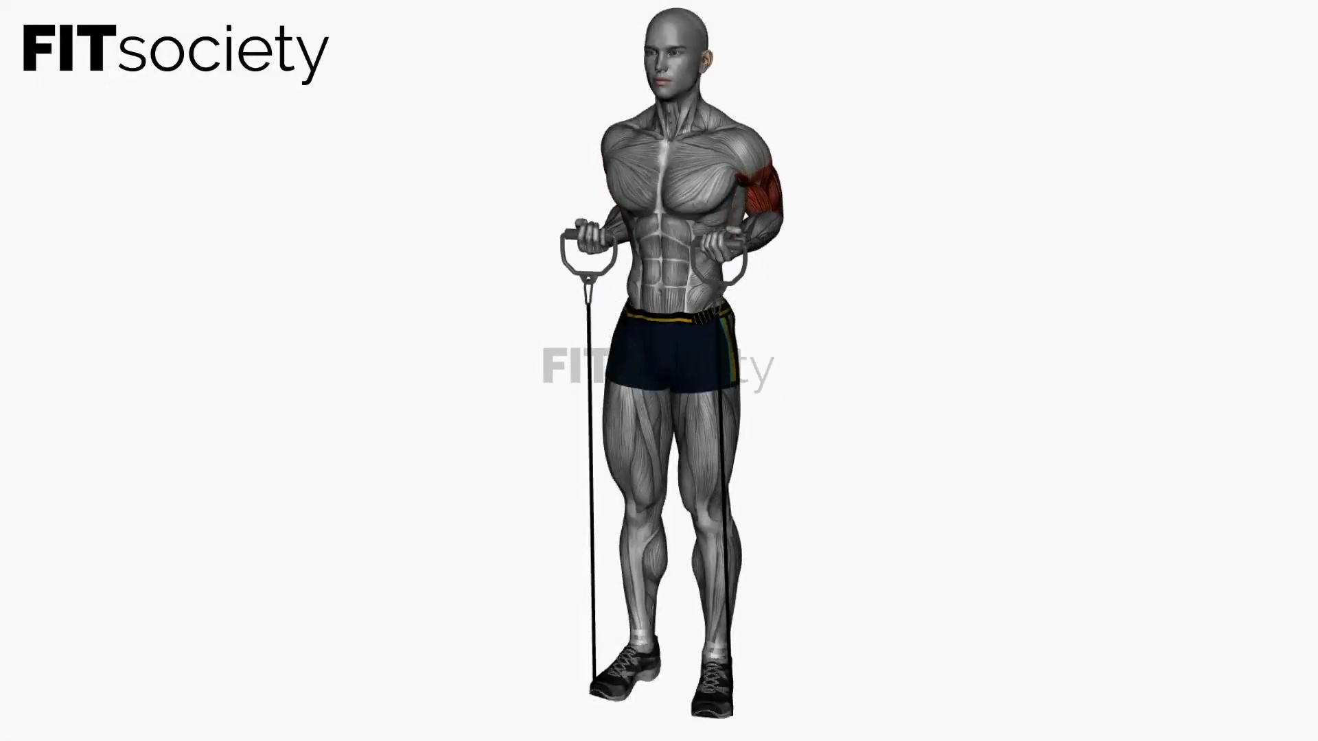 Drag Curl Resistance Band