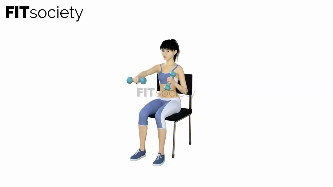 Seated Dumbbell Punch