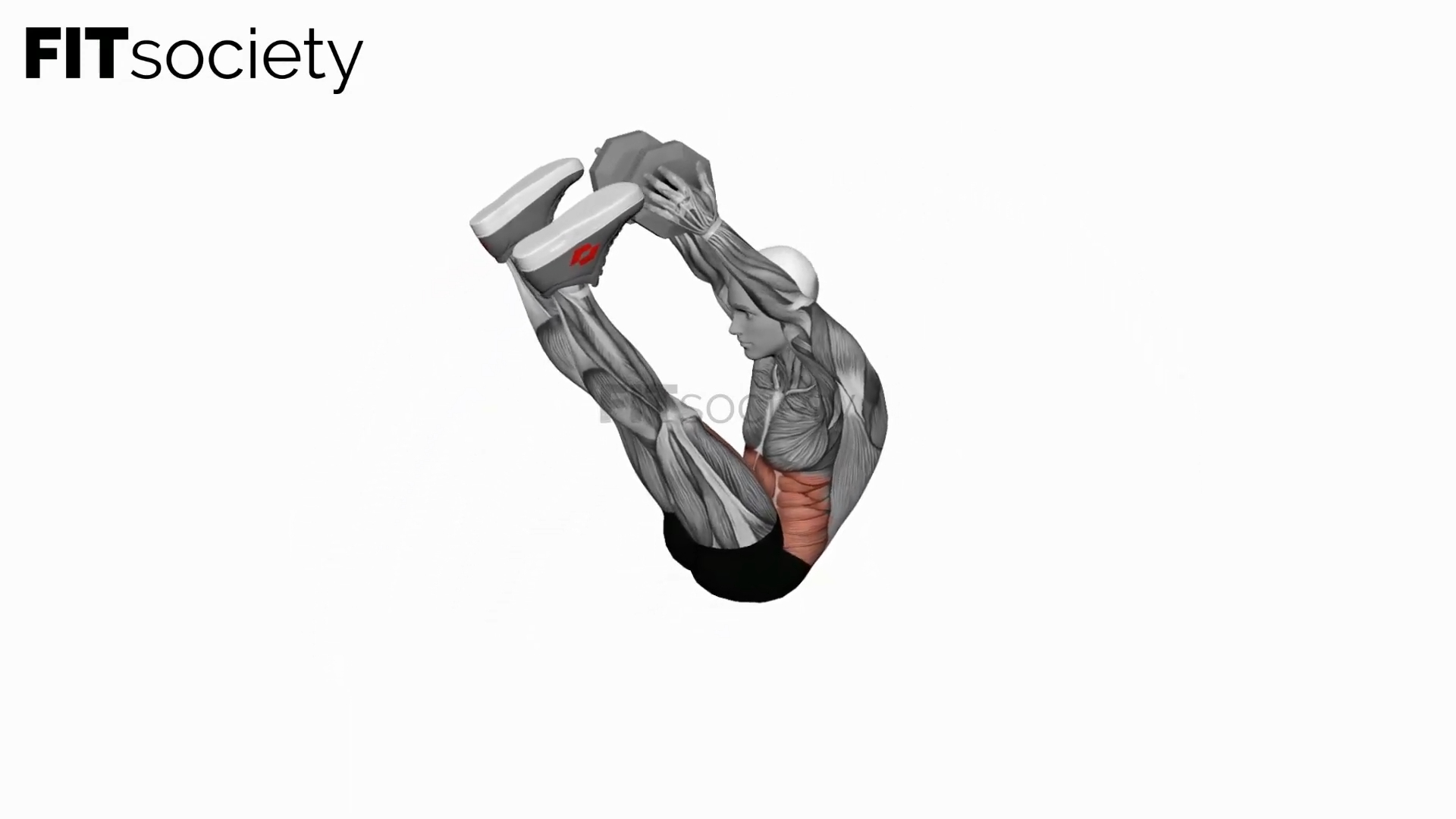 Dumbbell V-Up