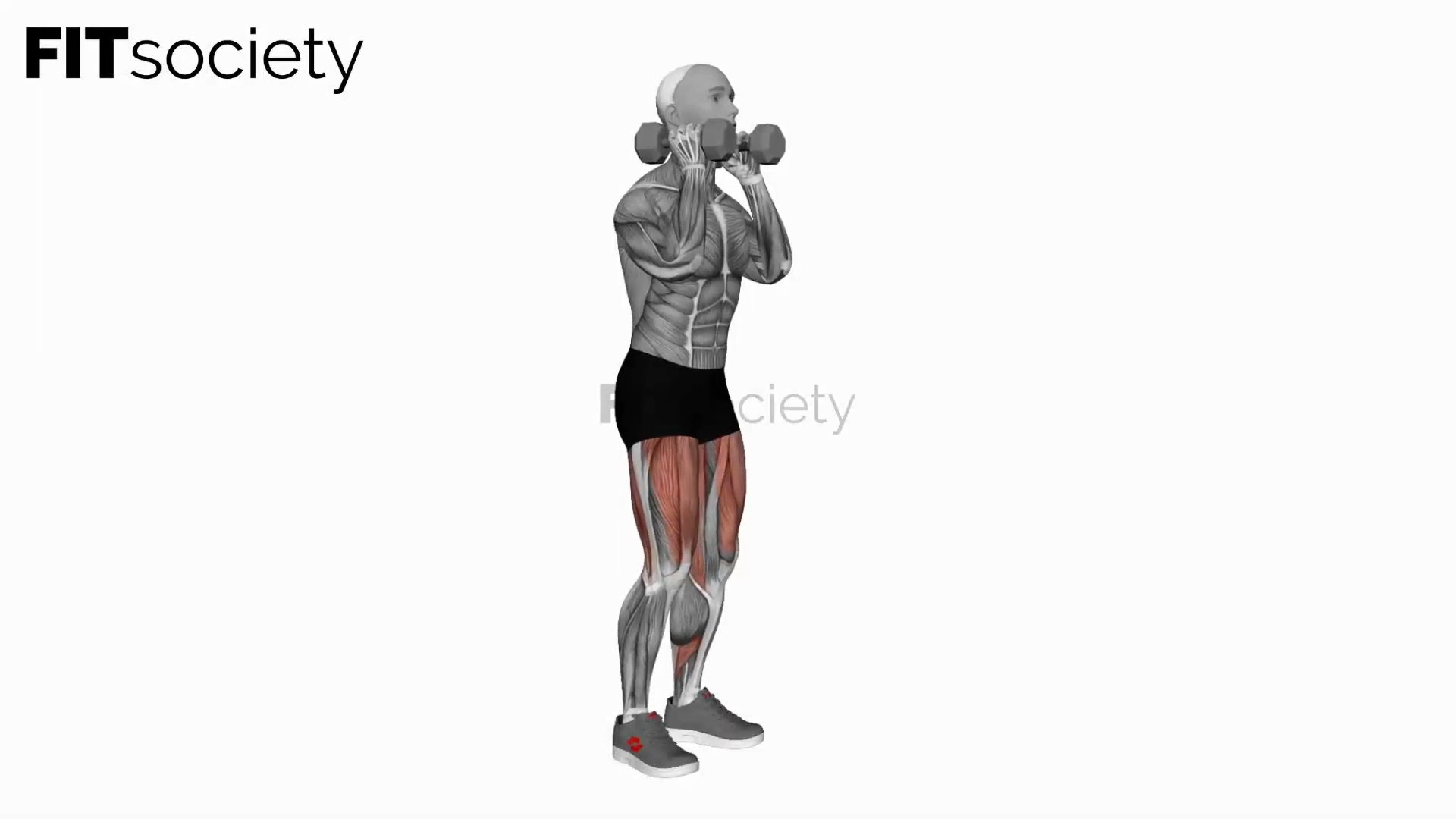 Dumbbell Front Squat