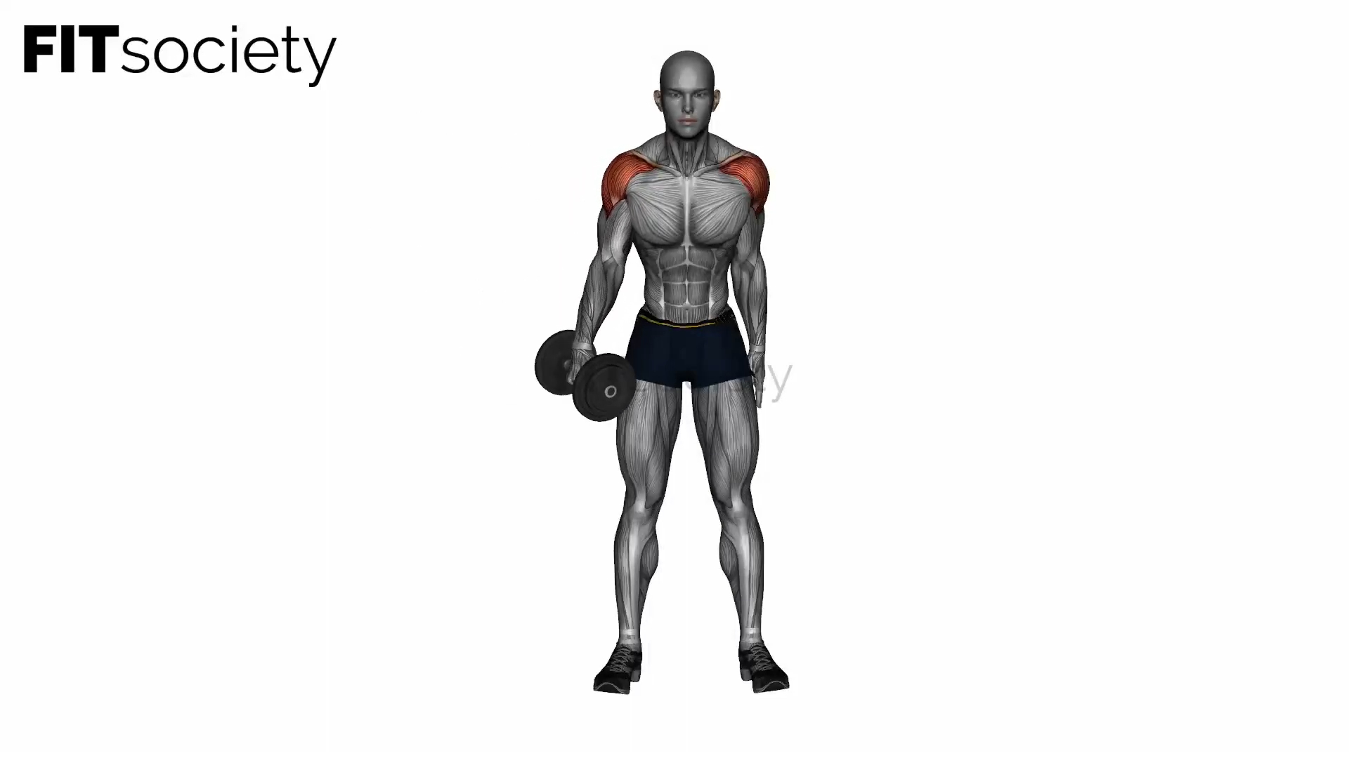 Dumbbell One Arm Lateral Raises