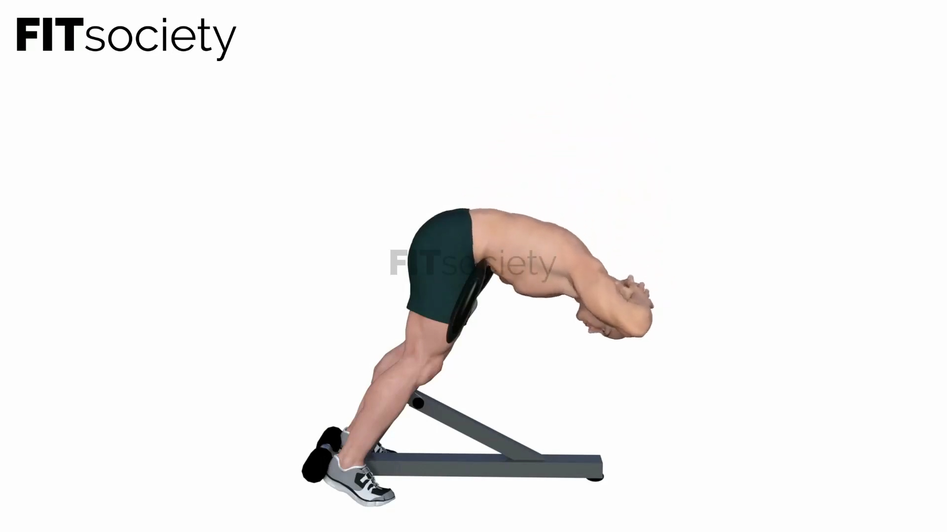 Back Hyperextension Bench
