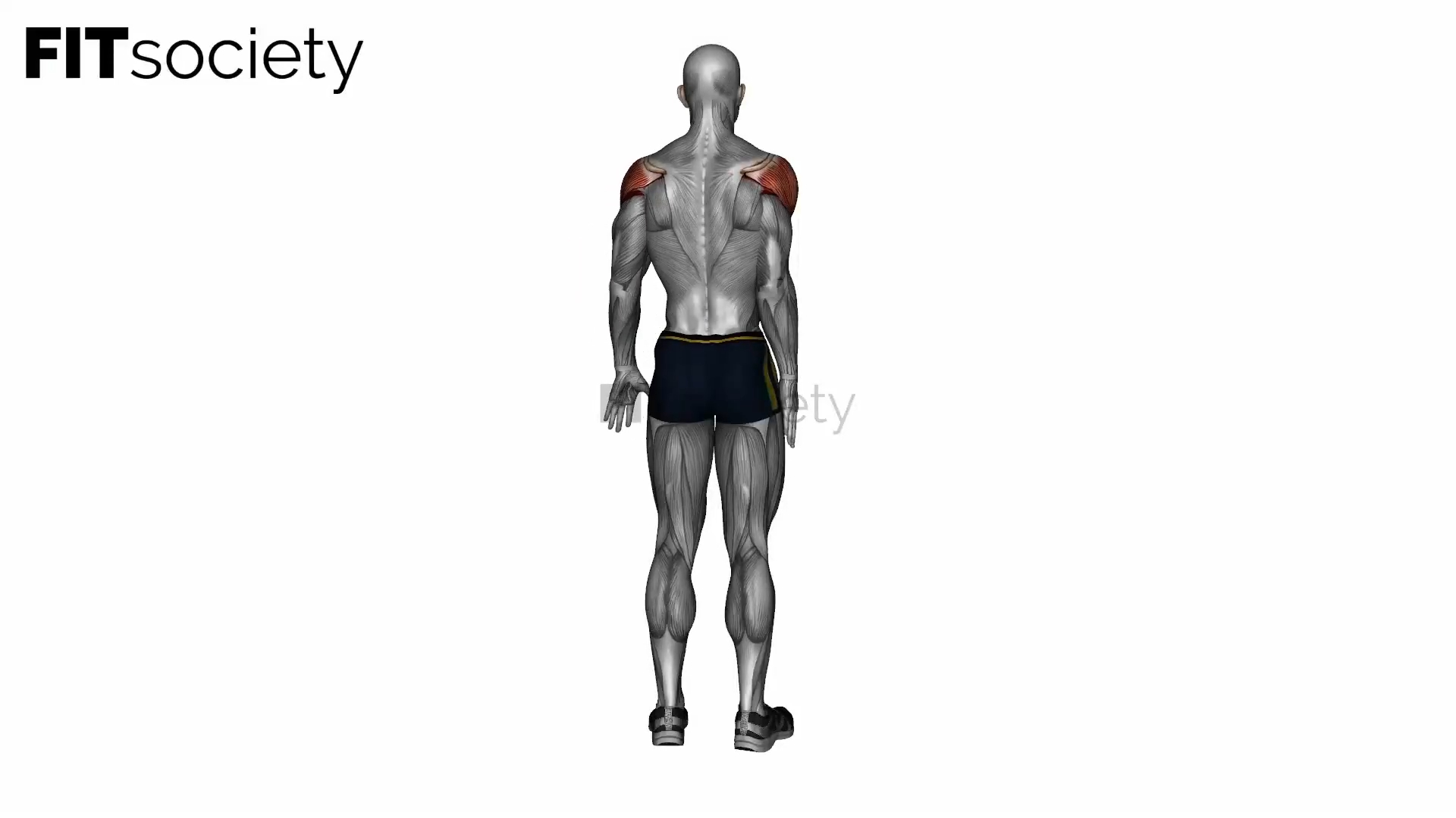Reaching Up Shoulder Stretch