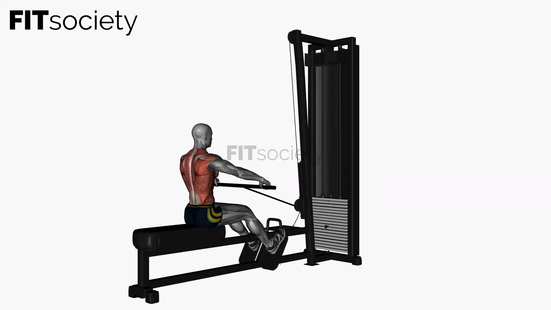 Straight Bar Cable Row Normal Grip