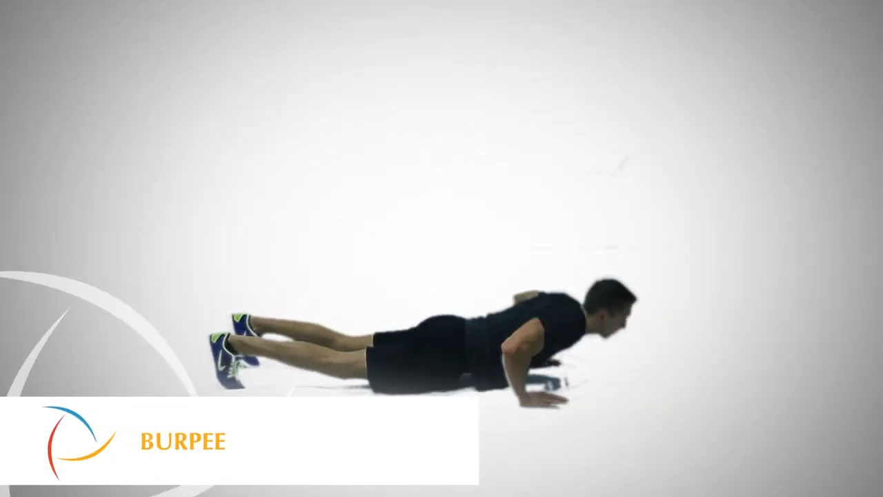 Burpee