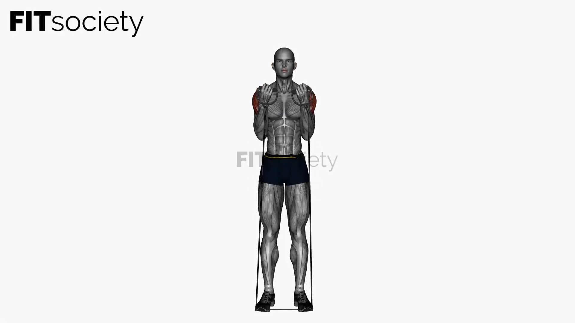 Biceps Curl To Shoulder Press Resistance Band