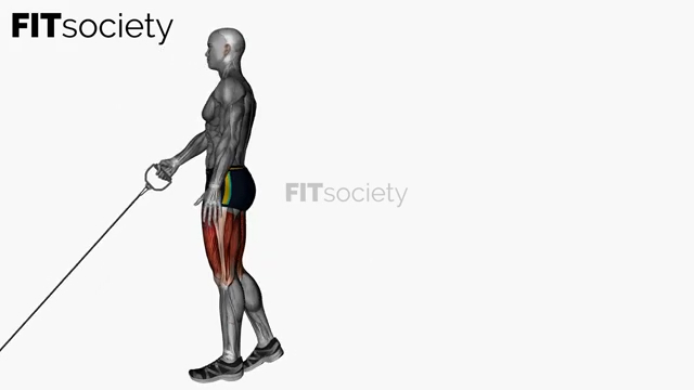 Single Leg Romanian Deadlifts Right Cable Resistance Band