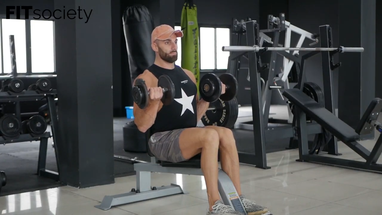 Seated Dumbbell Curls