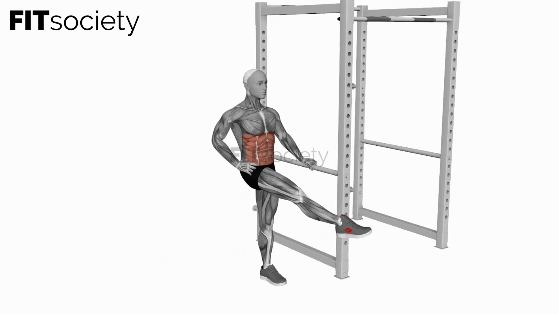 Dynamic Leg Swing
