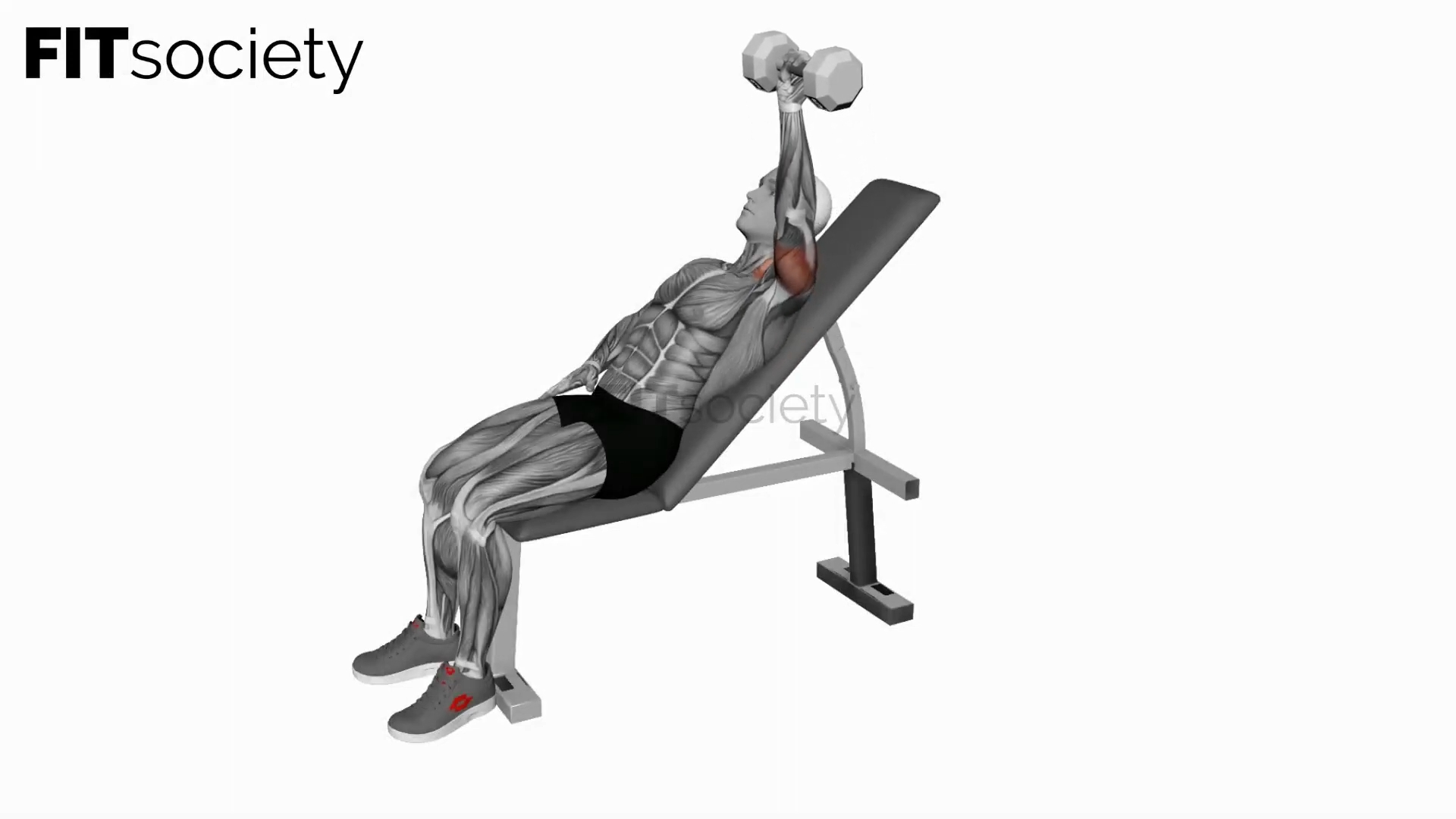 Dumbbell Incline One Arm Press