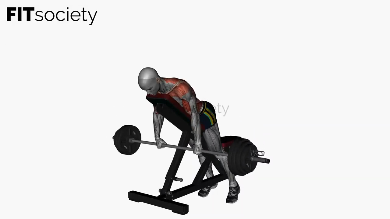 Prone Bench Row Barbell Supinated Grip