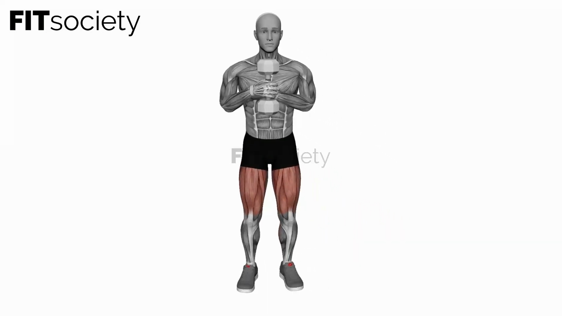 Dumbbell Side Lunge Single Leg