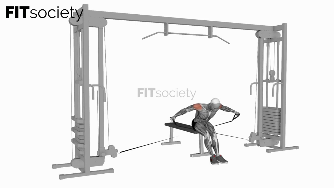 Cable Seated Rear Lateral Raise