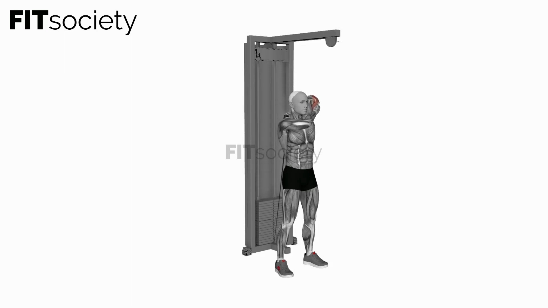 Cable Alternate Triceps Extension