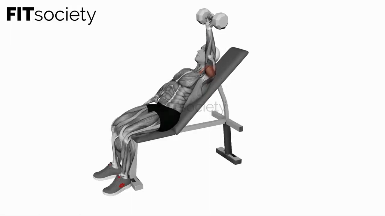 Dumbbell Incline One Arm Press