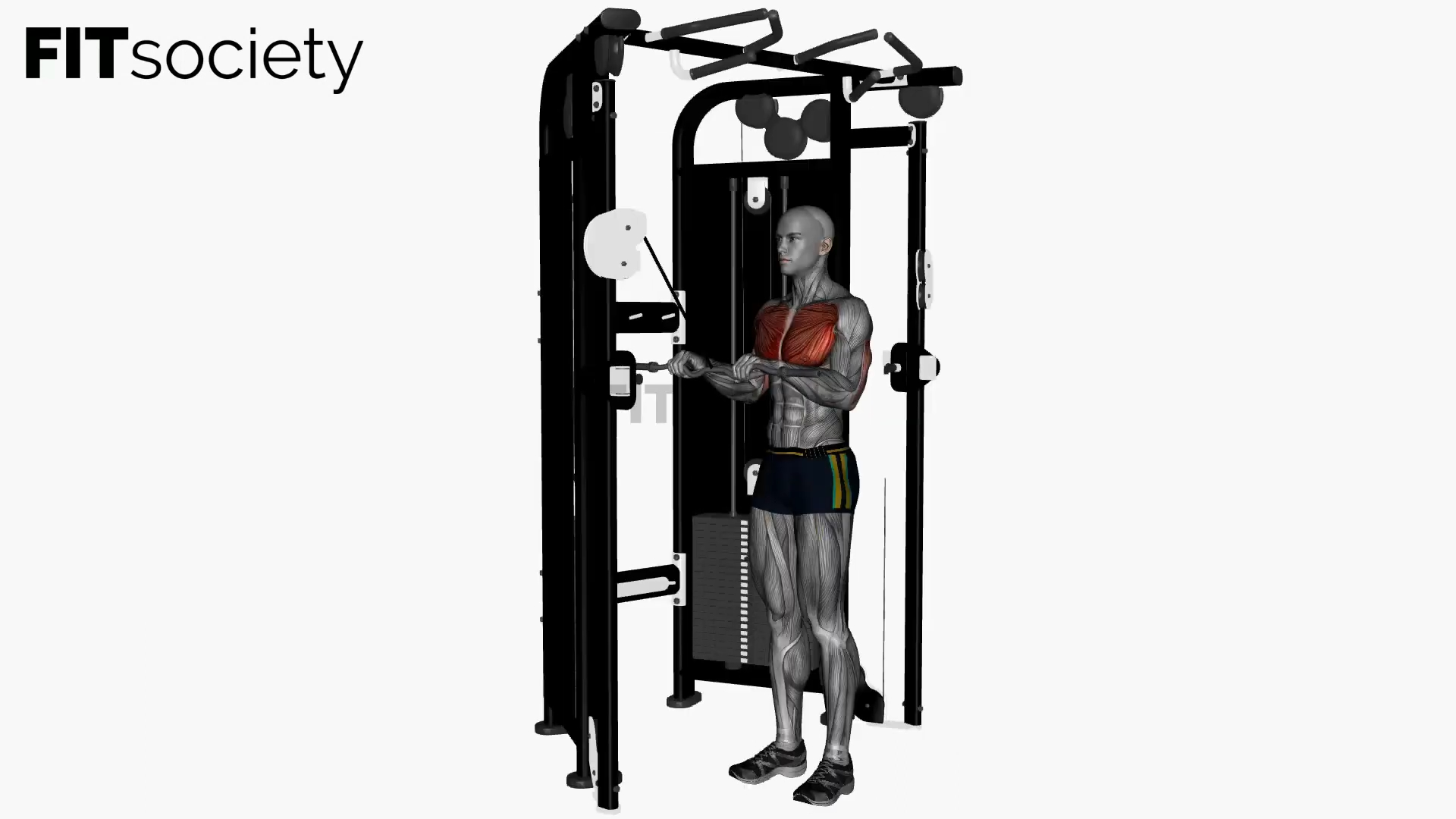Extension des triceps à la poulie avec barre EZ et prise large