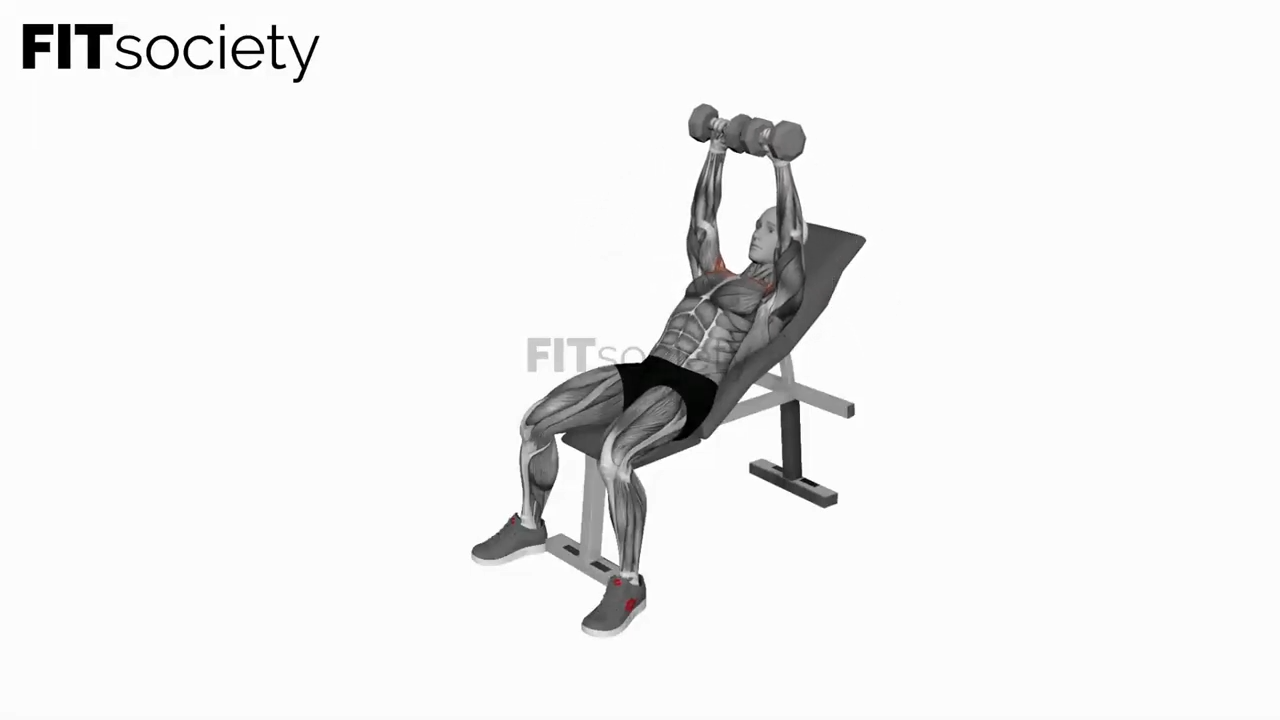 Dumbbell Incline Breeding