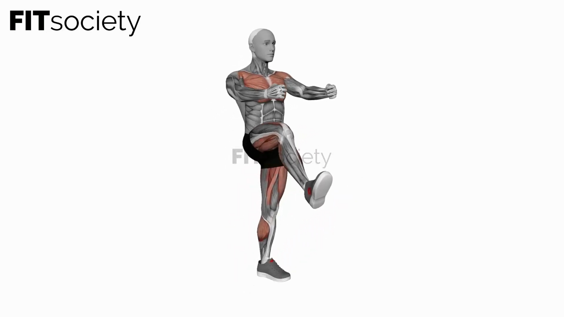 Double Punch Front Leg Lift