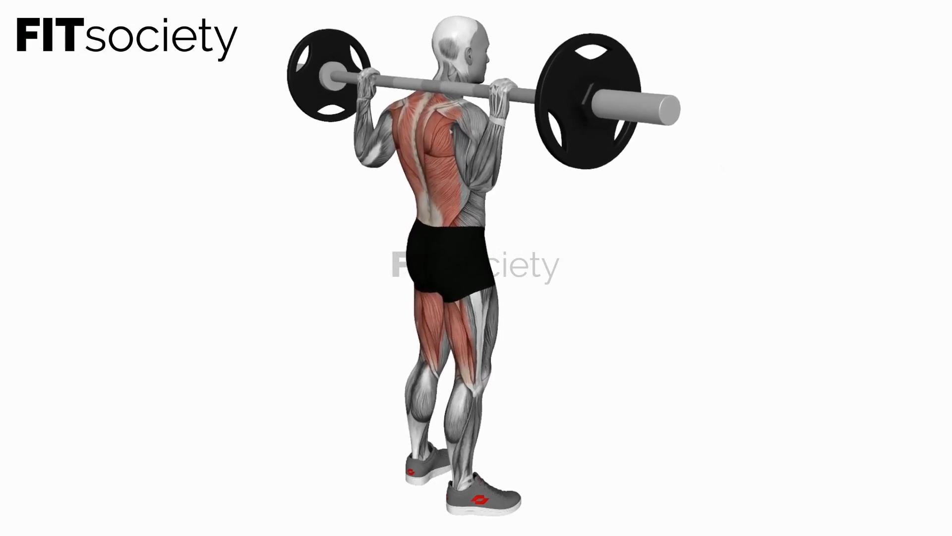 Barbell Good Morning