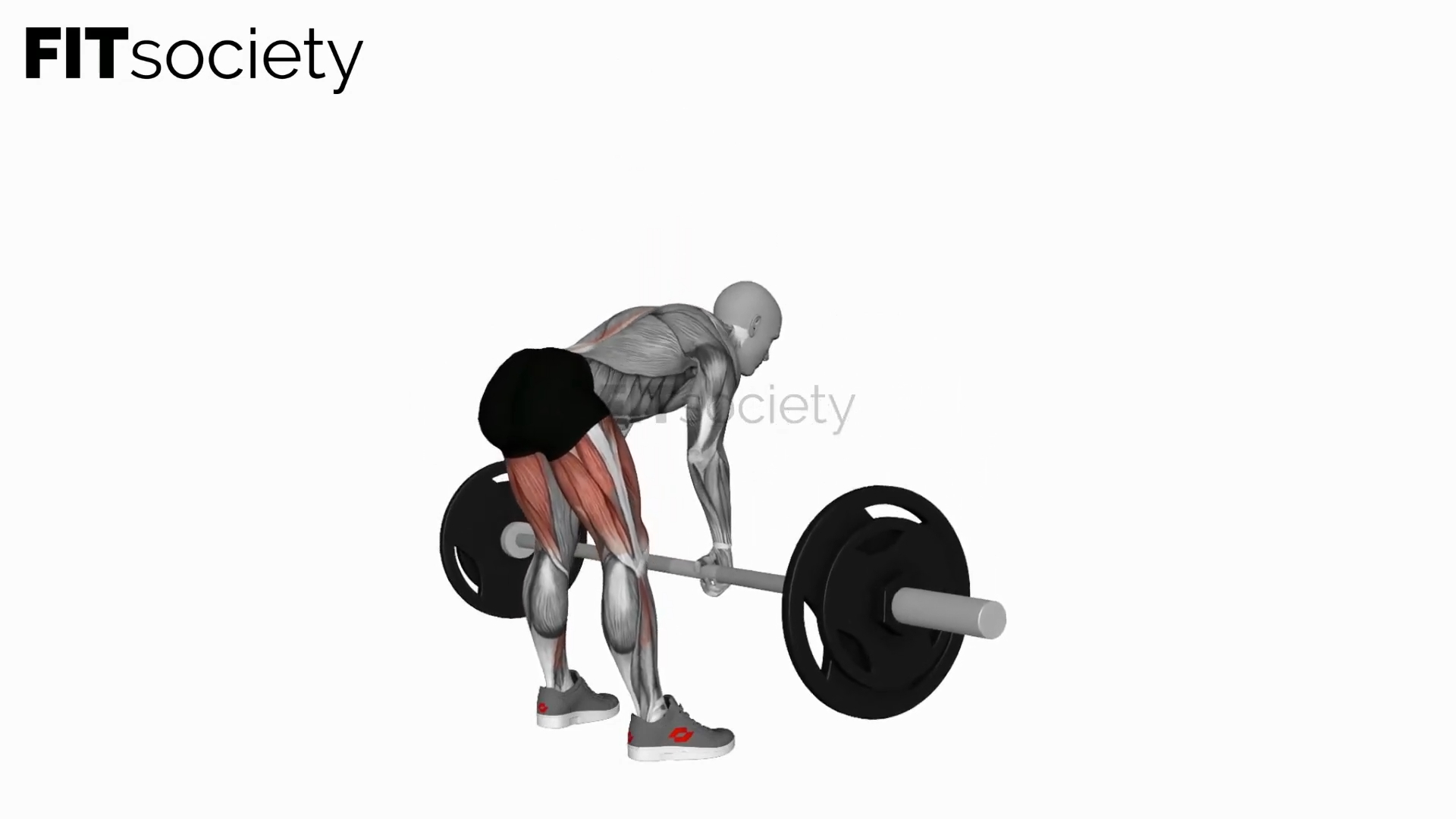 Barbell Sumo Romanian Deadlift
