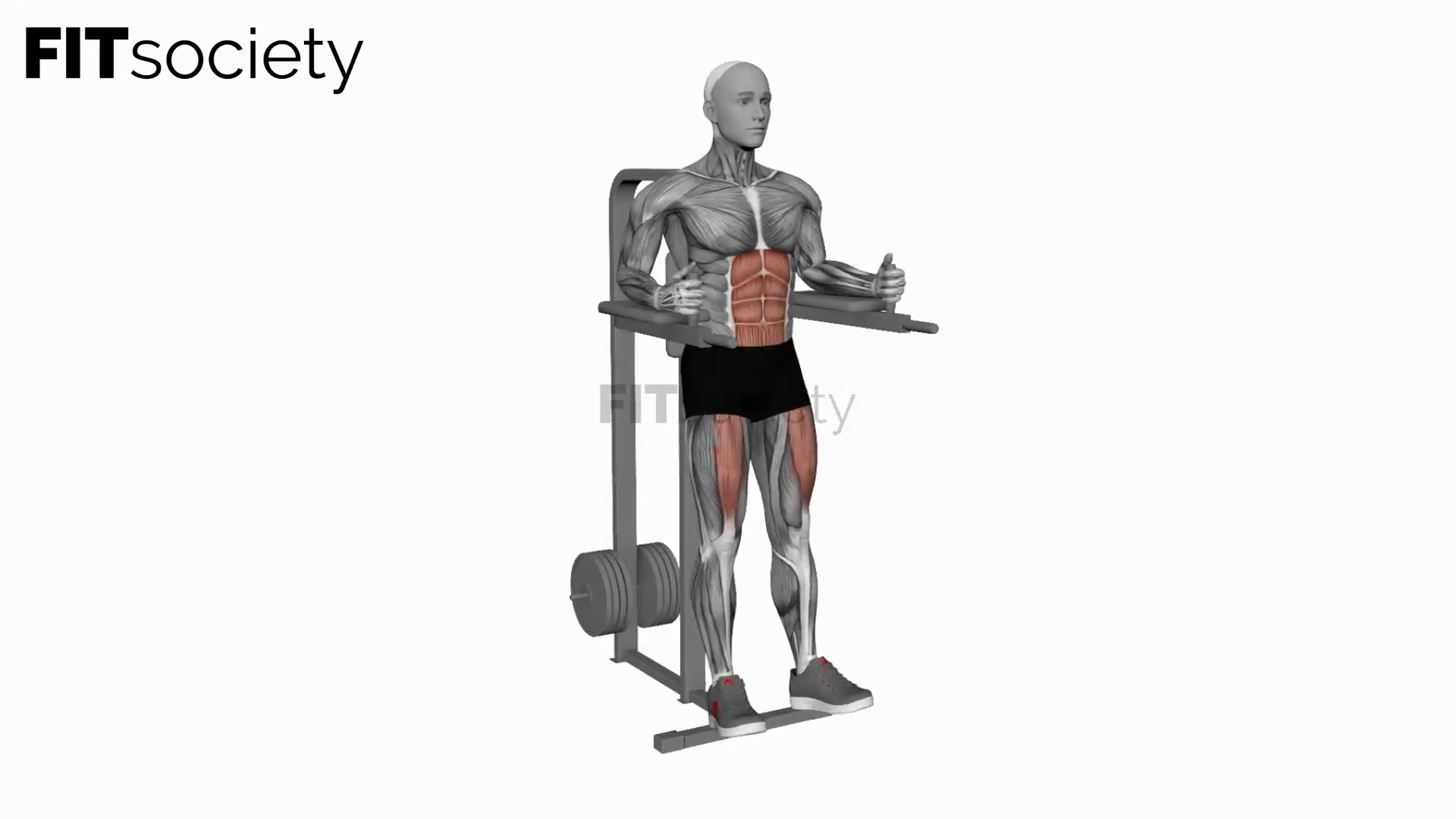 Leg Raises (Straight Legs)