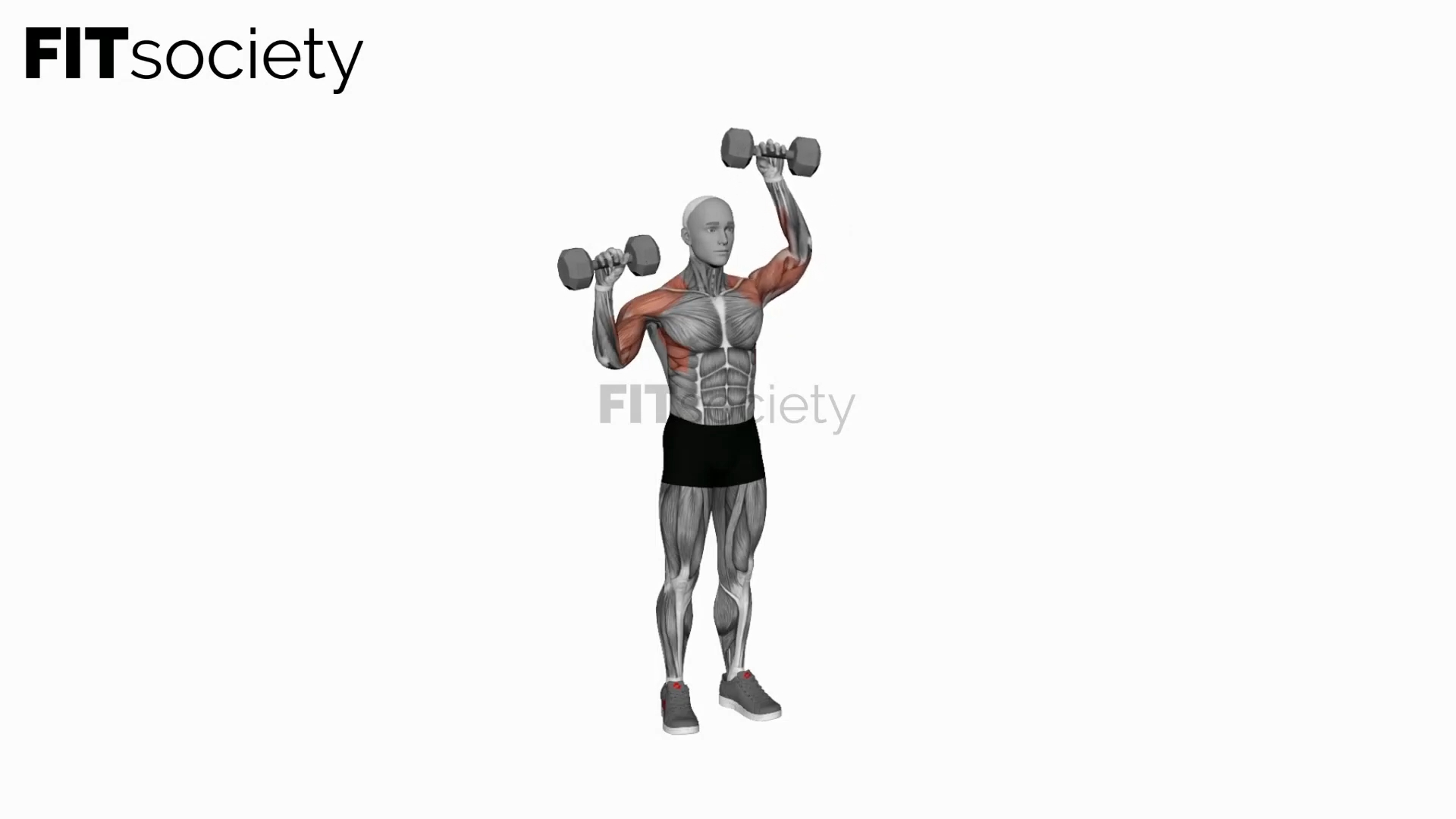 Dumbbell Alternate Shoulder Press