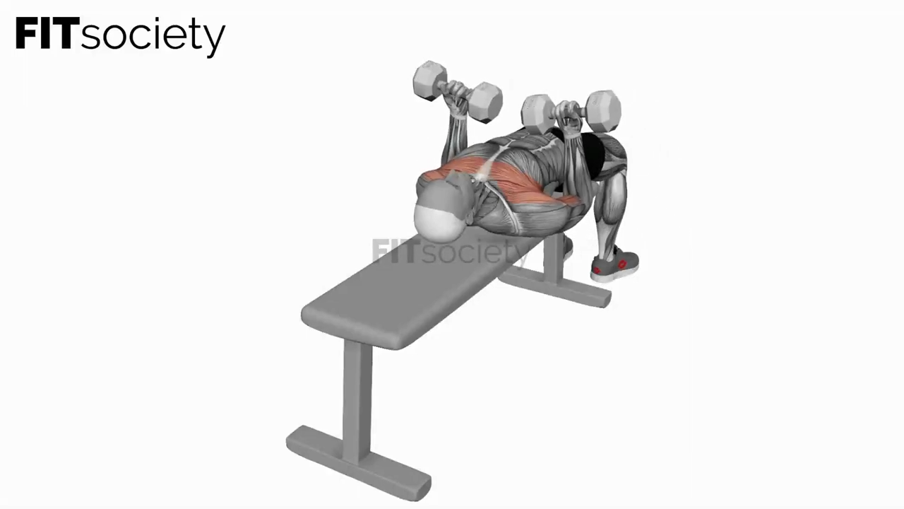Dumbbell Lying Supine Curl