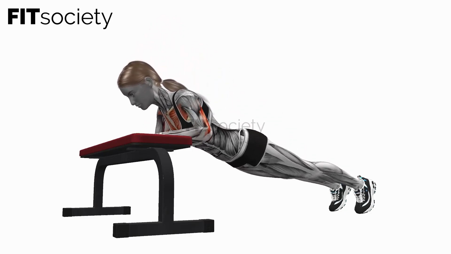 Incline Diamond Push Up On Bench