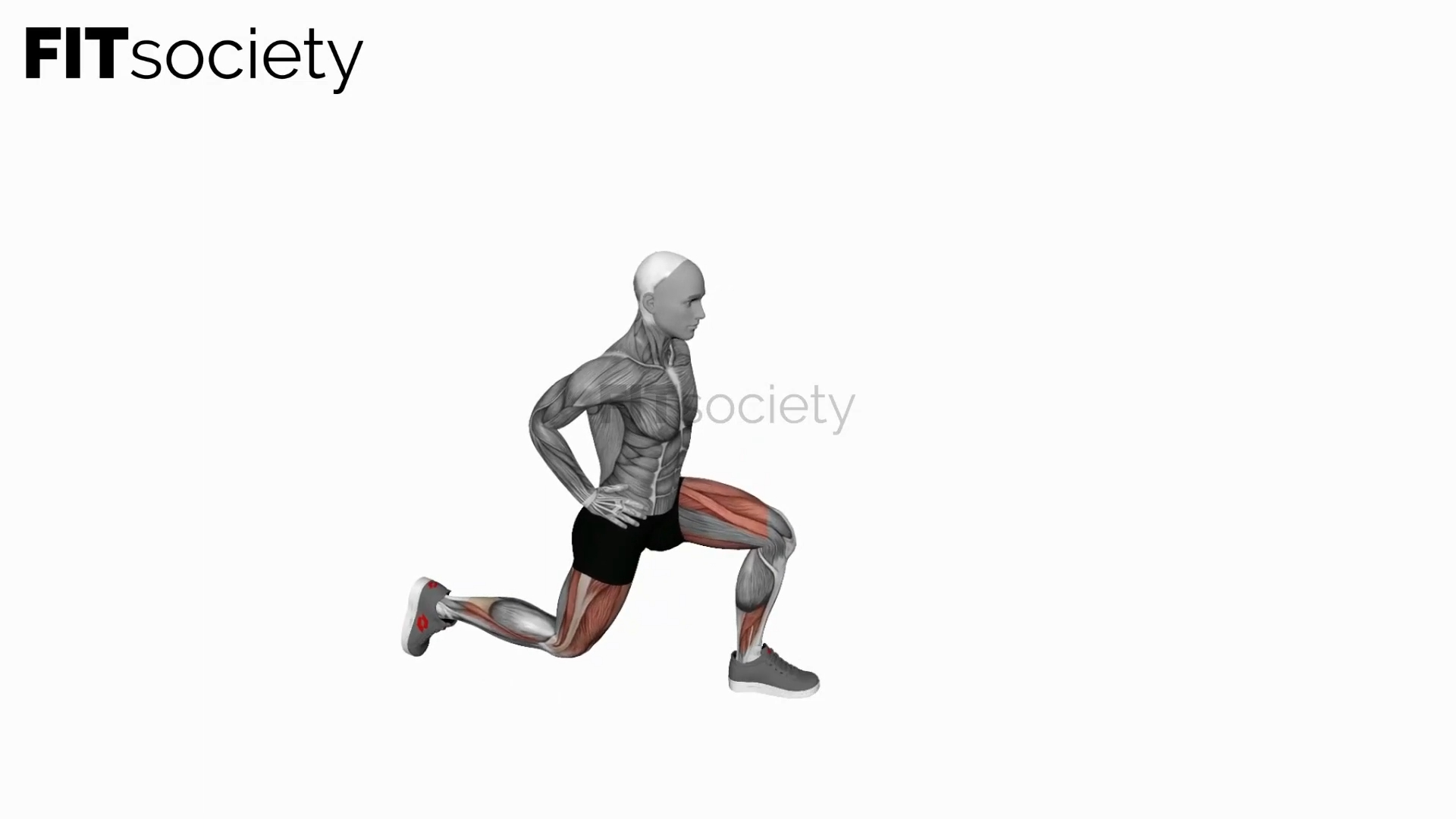 Bodyweight Rear Lunge