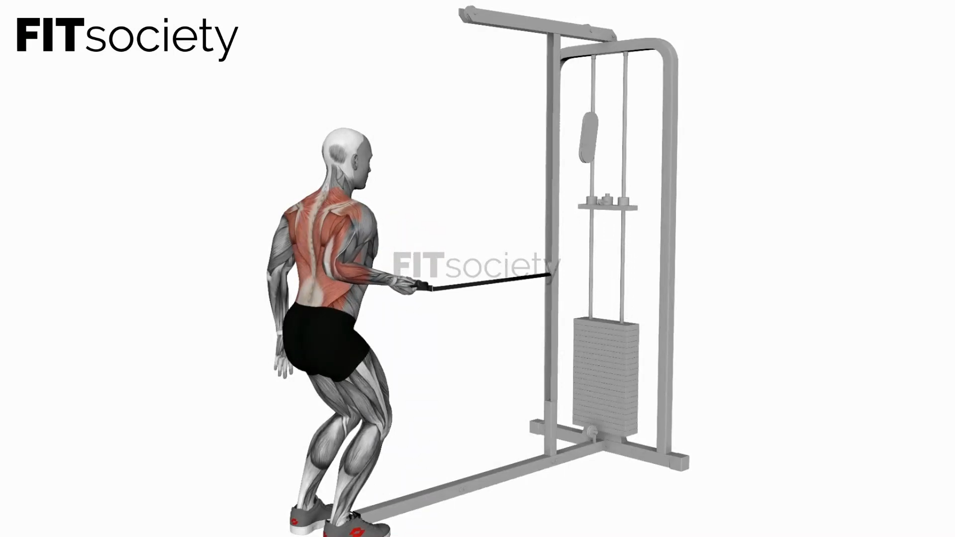 Cable Palm Rotational Row